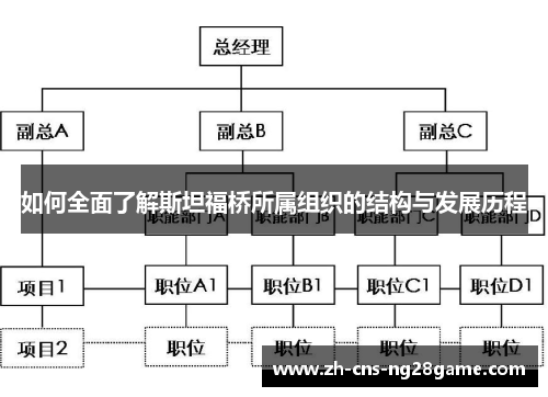 如何全面了解斯坦福桥所属组织的结构与发展历程